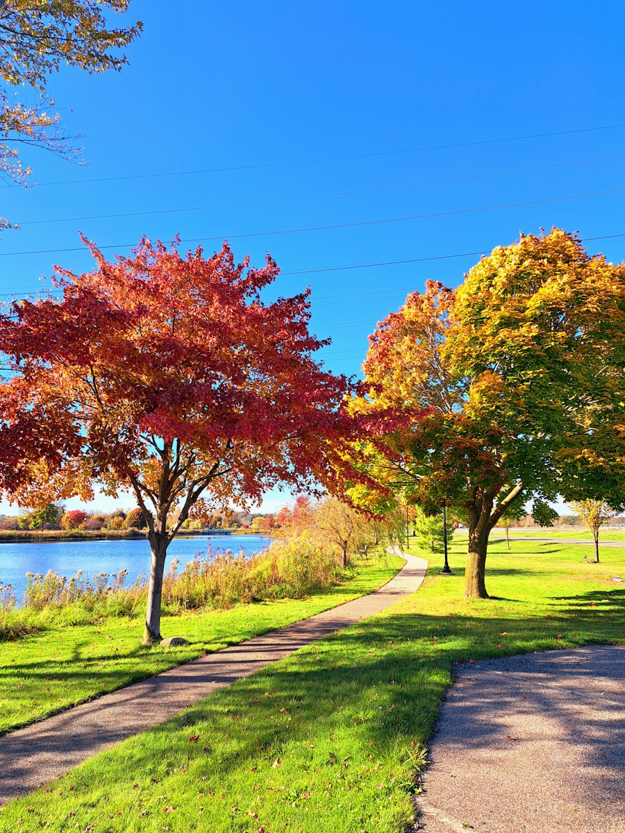 A paved path in a park next to a lake